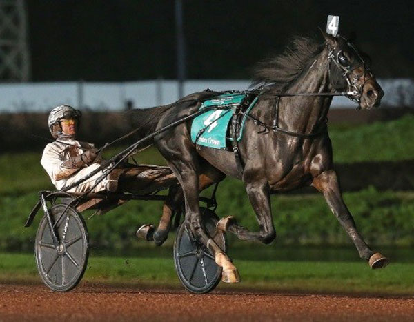 tactical-landing-2018-breeders-crown-2yoct-001_27_10_18ca.jpg